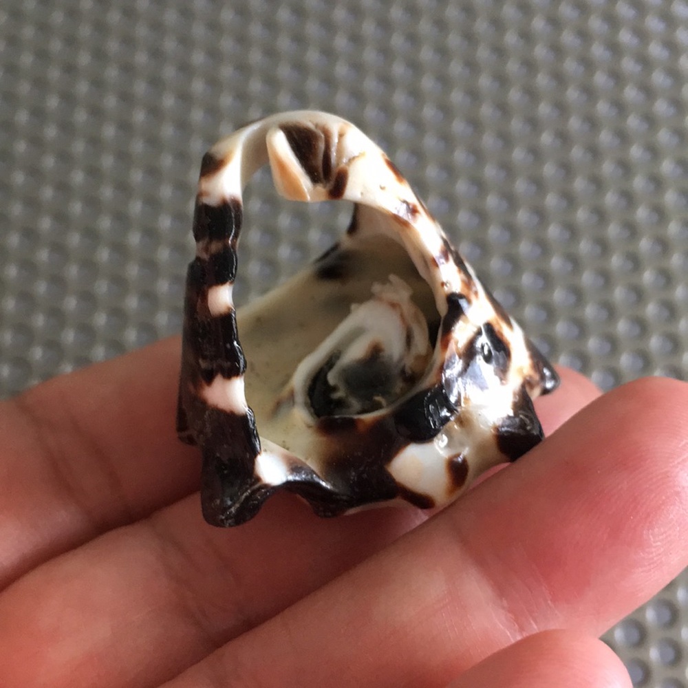 Natural Shell Ring - image 6